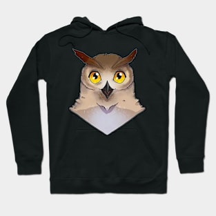 Owl Head Arts Hoodie